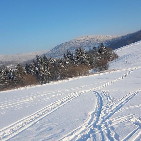 Agroturystyka Corno Owca Zabnica Kültér fotó