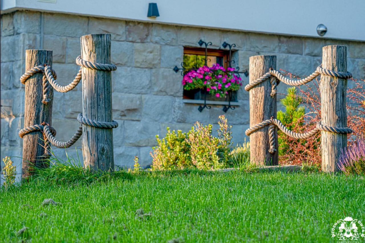 Agroturystyka Corno Owca Zabnica Kültér fotó