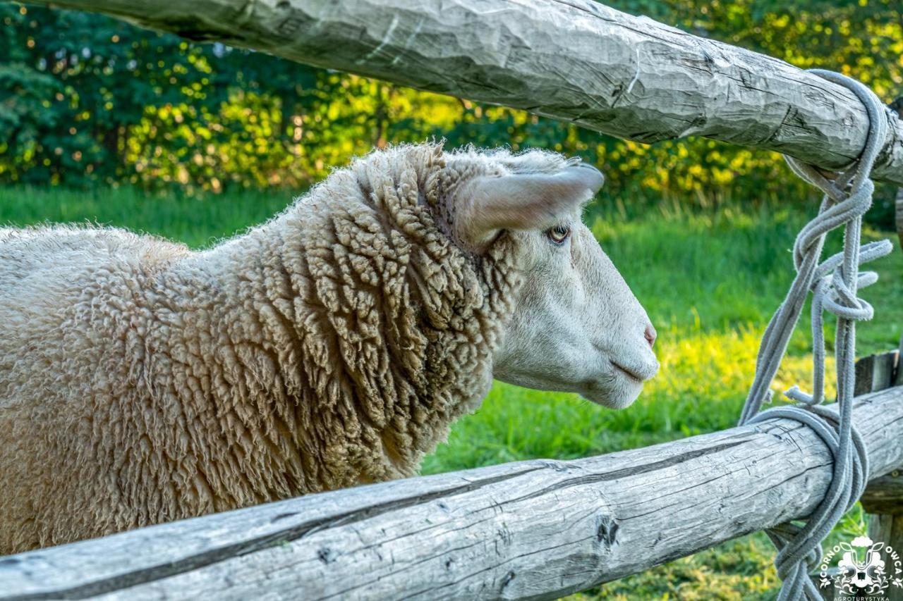 Agroturystyka Corno Owca Zabnica Kültér fotó